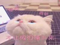 台州市兴欣席业有限公司