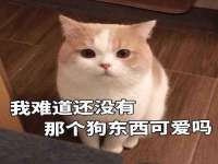 台州市兴欣席业有限公司