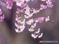 台州市兴欣席业有限公司