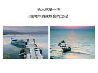 台州市兴欣席业有限公司