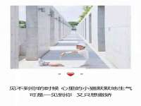 台州市兴欣席业有限公司