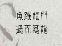 台州市兴欣席业有限公司
