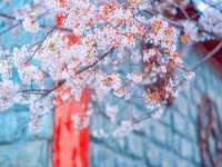 台州市兴欣席业有限公司