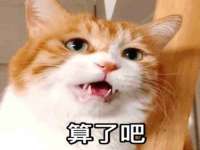 台州市兴欣席业有限公司
