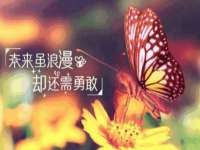 台州市兴欣席业有限公司