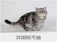 台州市兴欣席业有限公司