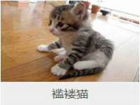 台州市兴欣席业有限公司