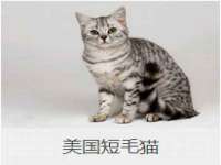 台州市兴欣席业有限公司