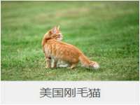 台州市兴欣席业有限公司