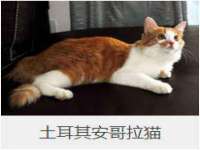 台州市兴欣席业有限公司