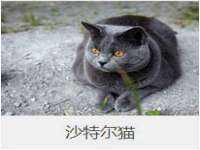 台州市兴欣席业有限公司