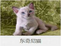 台州市兴欣席业有限公司