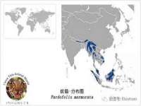 台州市兴欣席业有限公司