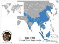 台州市兴欣席业有限公司