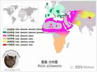 台州市兴欣席业有限公司