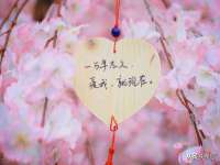 台州市兴欣席业有限公司