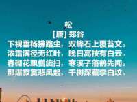 台州市兴欣席业有限公司