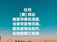 台州市兴欣席业有限公司