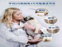 台州市兴欣席业有限公司