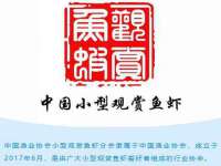 台州市兴欣席业有限公司