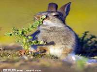台州市兴欣席业有限公司