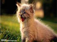 台州市兴欣席业有限公司