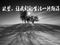 台州市兴欣席业有限公司