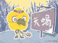 台州市兴欣席业有限公司