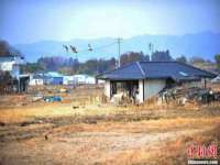 台州市兴欣席业有限公司