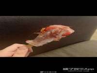台州市兴欣席业有限公司